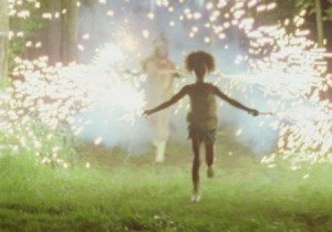 9. Звери дикого юга (The Beasts of the Southern Wild), реж. Бей Зайтлин.